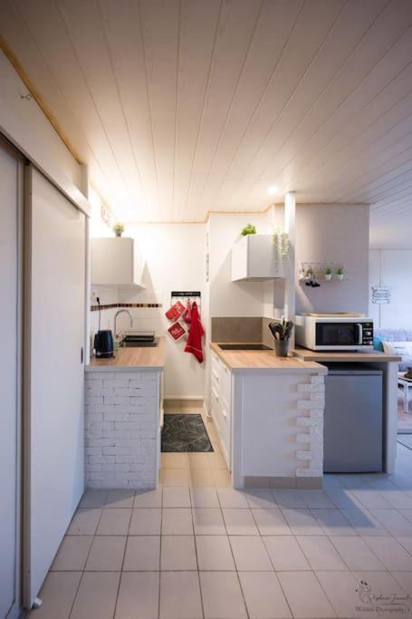 Le Nid Aux Mouettes Appartement La Parée Preneau Buitenkant foto